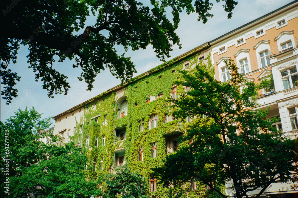 Building with ivy Building with ivy
