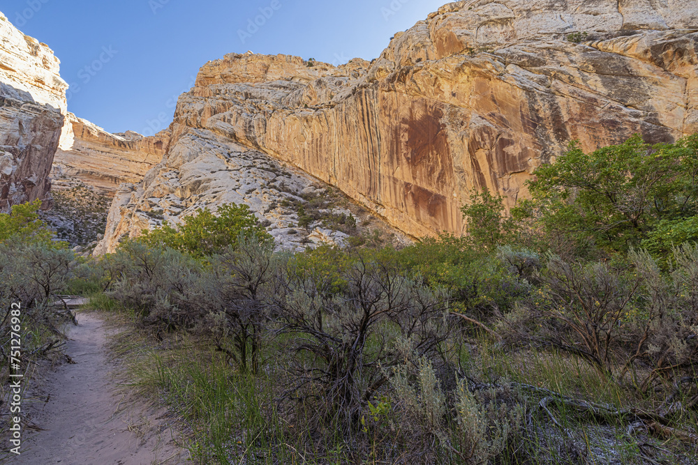 The path trough Box Canyon in the Dinosaur National Monument close to the Josie Morris Cabin