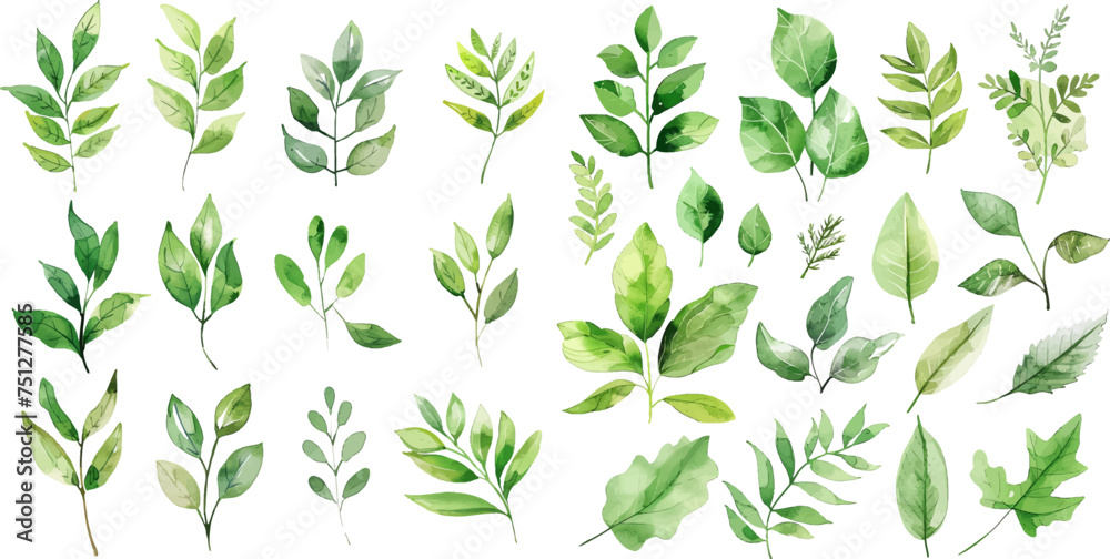 Collection botanical vector suitable for wedding Invitation Collection botanical vector suitable for wedding Invitation