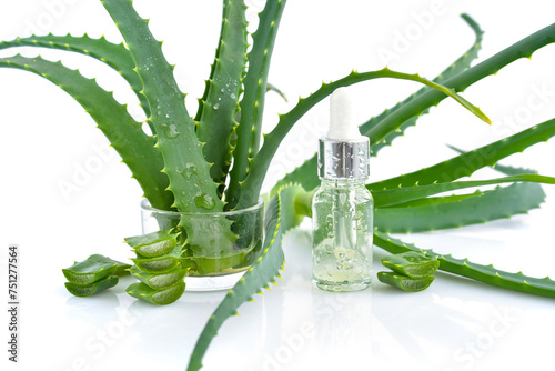 Fresh aloe vera leaves and slices, cosmetic serum with aloe vera extract in glass container with pipette on white background. Natural cosmetics concept.