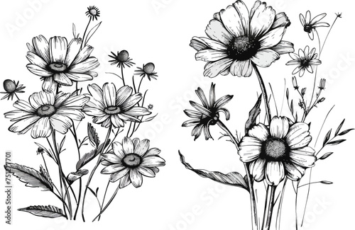 Black ink drawing flowers, monochrome artistic botanical illustration