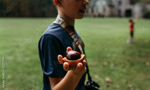 Buckeye Nut