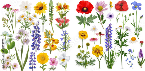 Flowers 3d realistic vector set