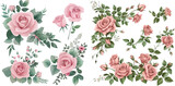 Set of floral branch. Flower pink rose, green leaves. Wedding concept with flowers