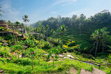 Tegalalang beautiful green rice terrace in Bali, Indonesia