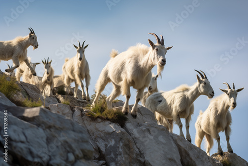 Herd of goats climbing up rocky terrain. Generative AI