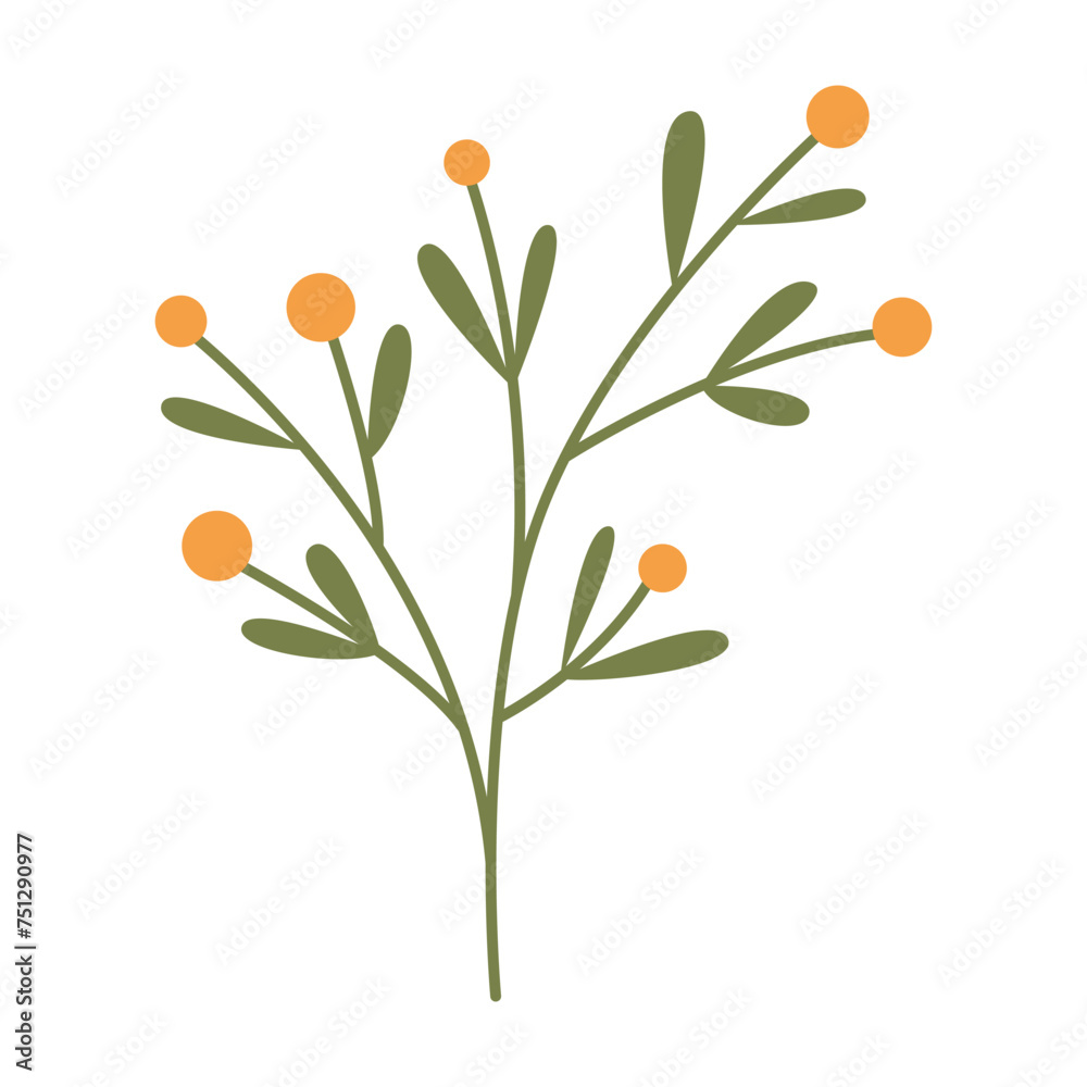 Wild flower illustration Wild flower illustration