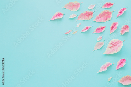 pink leaves on blue paper background