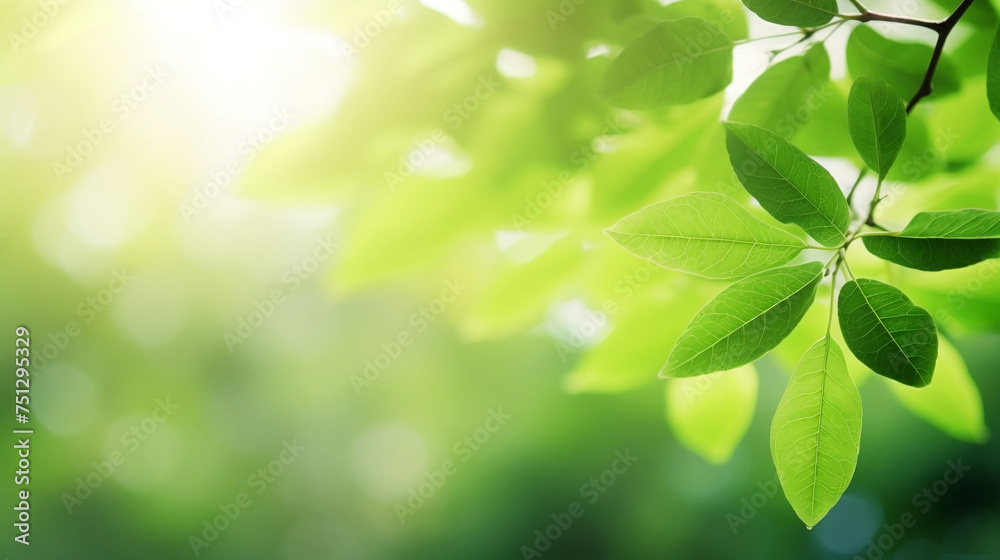 Close-up view of fresh green leaves on blurred greenery background in sunlight. Close-up view of fresh green leaves on blurred greenery background in sunlight.