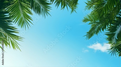 ヤシの葉と青い空、余白・コピースペースのある夏の背景