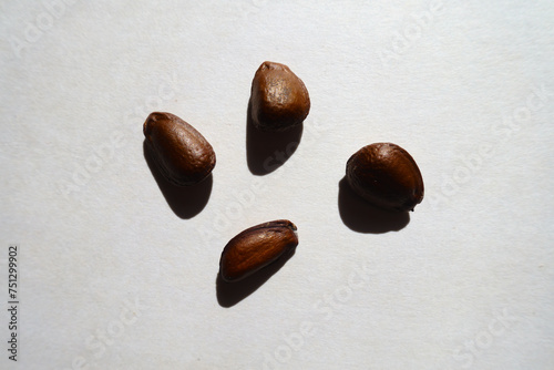 Top view of four hard dark brown bean-like glossy seeds of cherimoya photo
