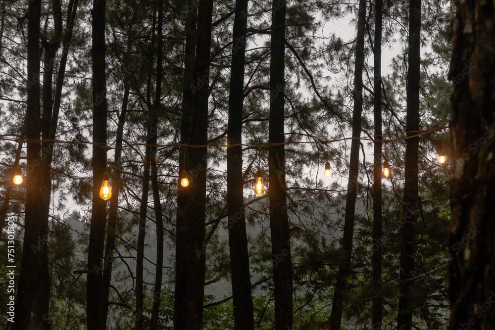 View of a pine forest with bright retro incandescent lamps View of a pine forest with bright retro incandescent lamps