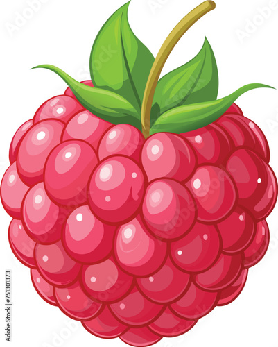 raspberry with leaves vector illustration, isolated on a white background, raspberry logo