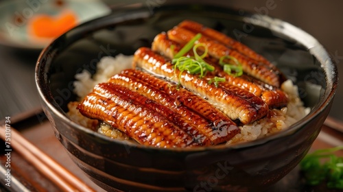 Eel on rice or eel on rice - Japanese food style