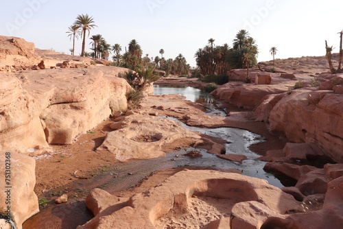 Oued de Tiout en Algérie