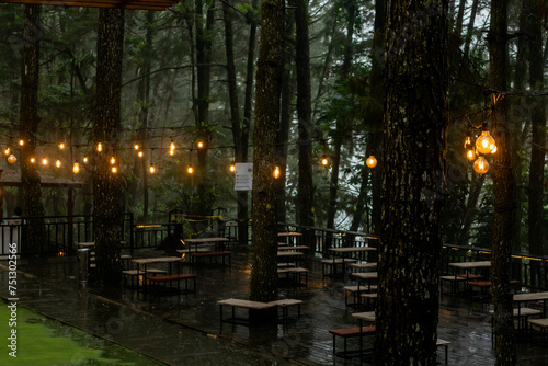Cafe tables and benches in the middle of a pine forest with retro incandescent lamps at the rain