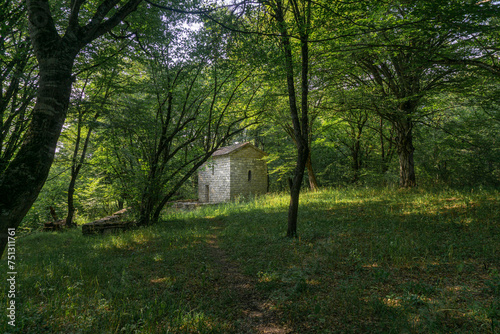 St Barbare church of Cheremi village is built of light stone and stands in the forest surrounded by grass and trees. There is a low stone wall around.  Cheremi village, Georgia © Michael