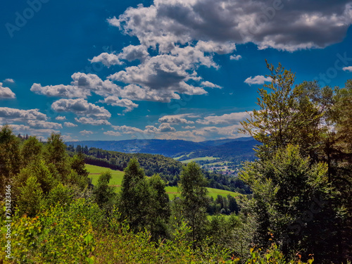 Fototapeta Naklejka Na Ścianę i Meble -  view of the mountains and forest. tourist town Wisla, Poland
