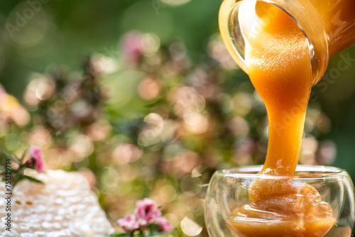 Pour honey into glass jar and honeycomb on natural background.