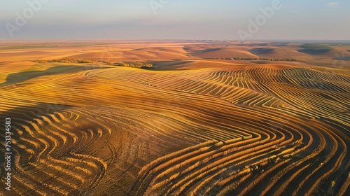 This aerial photo shows vast farmlands at sunset, with golden hues and shadows lines highlighting the rows of harvested crops in a repeated pattern.