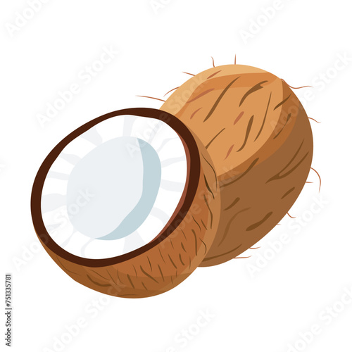Coconut in vector illustration on white background Fresh whole and half coconut Isolated 