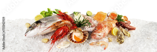 Fish and Sea Food on Ice with Caviar, Mussels, Oysters, Scallop and Vegetables - Side View Banner PNG