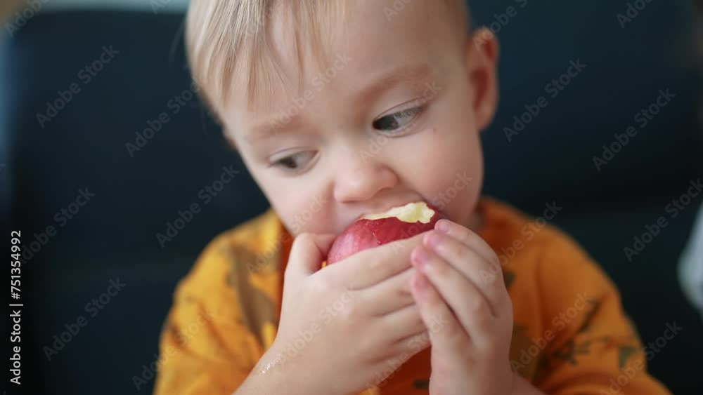 baby boy eating an apple. healthy a eating kid dream concept. baby sitting on the sofa eating an apple. close-up baby son eating an apple at home lifestyle baby boy eating an apple. healthy a eating kid dream concept. baby sitting on the sofa eating an apple. close-up baby son eating an apple at home lifestyle