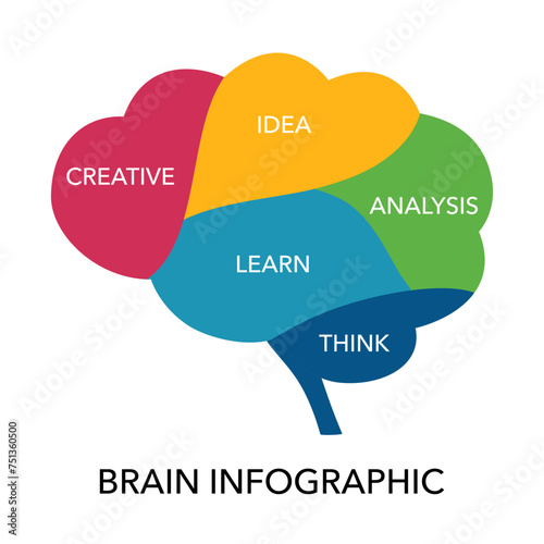 Part of human brain. Brain Infographic concept.