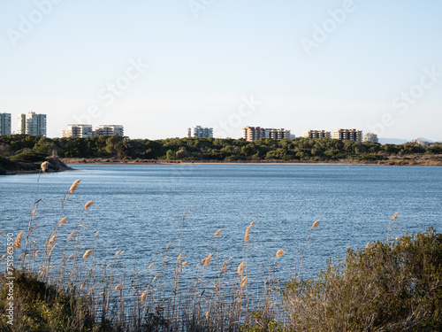 Estany del Pujol in the Albufera of Valencia, bird zone by el Saler and la Devesa photo