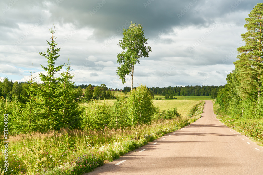 Small country road in Sweden in summer