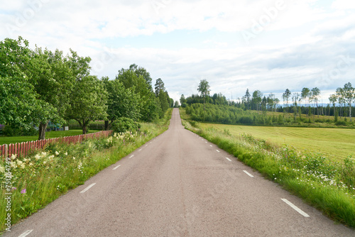 Clear path with contry road and meadow in Sweden in summer photo