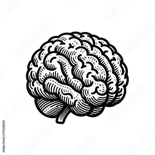 Brain isolated vector illustration
