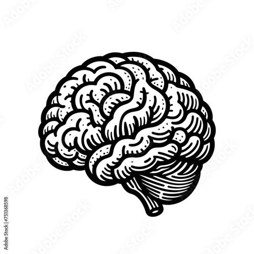 Brain isolated vector illustration