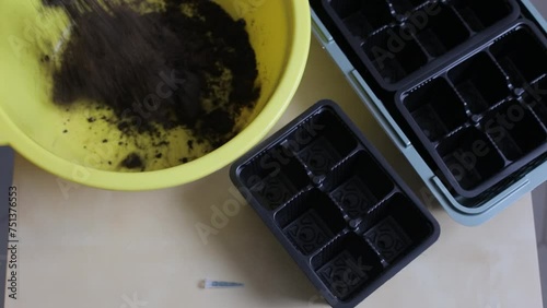 A woman pours soil into a container to prepare a useful composition for growing various seedlings. Female hands in gloves prepare useful soil saturated with microelements for growing seedlings