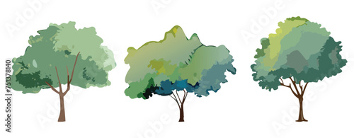 Set of three watercolour painted trees