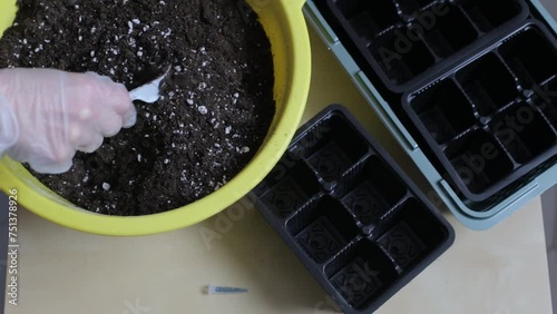 Female hands in gloves prepare useful soil saturated with microelements for growing seedlings