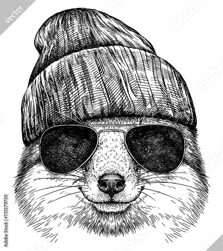 Vintage engraving isolated fox glasses dressed fashion set illustration ink sketch. Wild animal background foxy animal silhouette sunglasses hipster hat art. Black and white hand drawn vector image