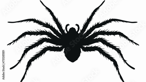 Silhouette of spider isolated on white background. vector