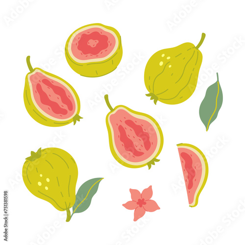 Set of guava and parts isolate on a white background. Vector graphics