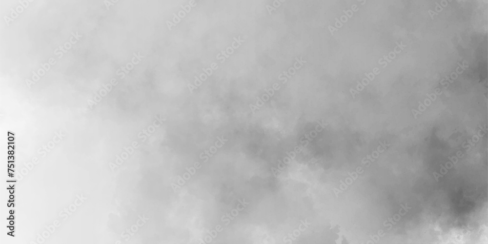 White misty fog,dreaming portrait smoke isolated vintage grunge burnt rough smoke swirls.dreamy atmosphere fog and smoke.blurred photo spectacular abstract.clouds or smoke.
