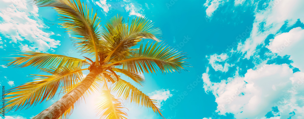Palm tree against clear blue sky, tropical, summer holiday vibe. Banner with copy space