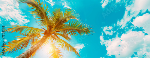 Palm tree against clear blue sky, tropical, summer holiday vibe. Banner with copy space © henjon