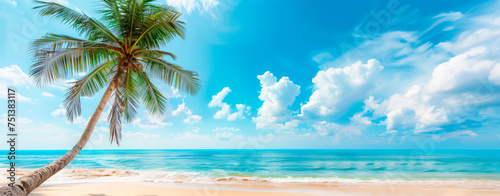 Tropical sunny beach with palm tree, clear blue sky, and fluffy clouds. Summer holiday and travel banner with copy space.