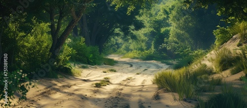 A dirt road winds through a landscape filled with tall trees and lush grass. The road is surrounded by greenery, creating a serene and natural atmosphere.