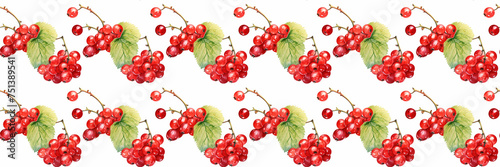 Branches with red currant on a white background, seamless pattern. Watercolor illustration.