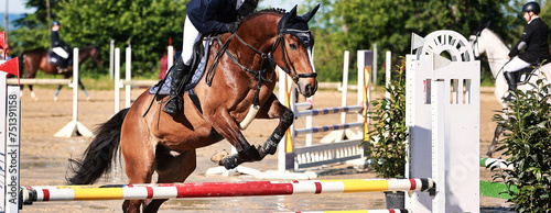 Horse, showjumping horse, close-ups in the show jumping competition. photo