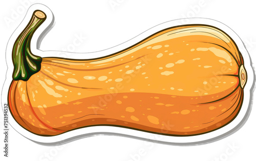 Sticker featuring a Butternut Squash isolated on transparent Background