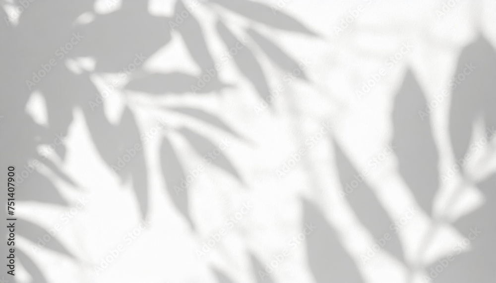 abstract shadow of leaves on a white wall overlay effect for photo mock up product wall art design presentation abstract shadow of leaves on a white wall overlay effect for photo mock up product wall art design presentation