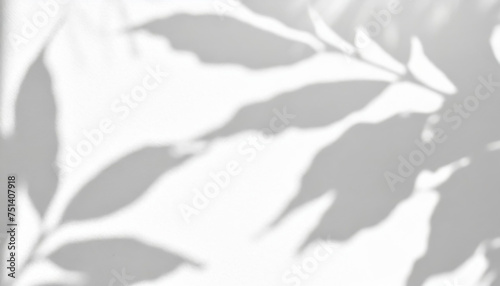abstract shadow of leaves on a white wall overlay effect for photo mock up product wall art design presentation