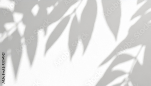 abstract shadow of leaves on a white wall overlay effect for photo mock up product wall art design presentation